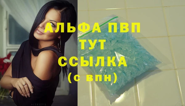 спайс Вяземский