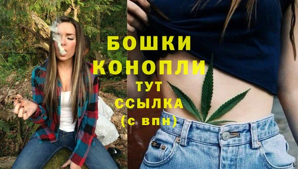 ПСИЛОЦИБИНОВЫЕ ГРИБЫ Вязьма