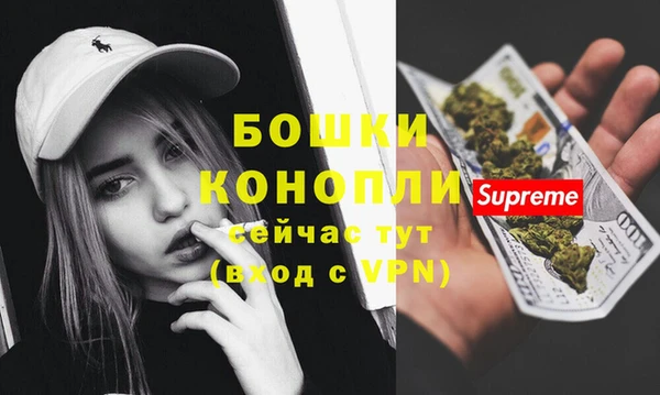 ПСИЛОЦИБИНОВЫЕ ГРИБЫ Вязьма