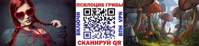 Купить  Костерёво  Галлюциногенные грибы прущие грибы 